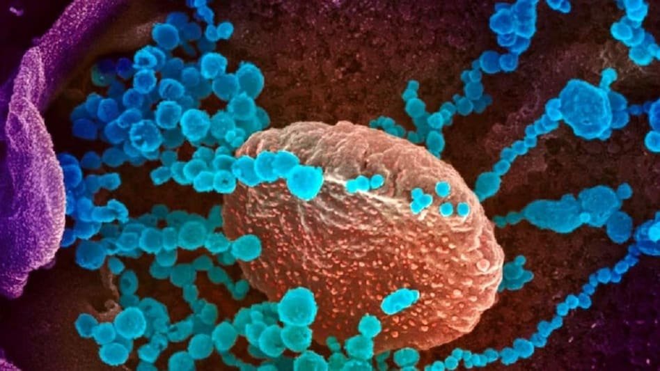 Adarsh Maharashtra | सावधान! मुंबईत २ नवे कोरोना...