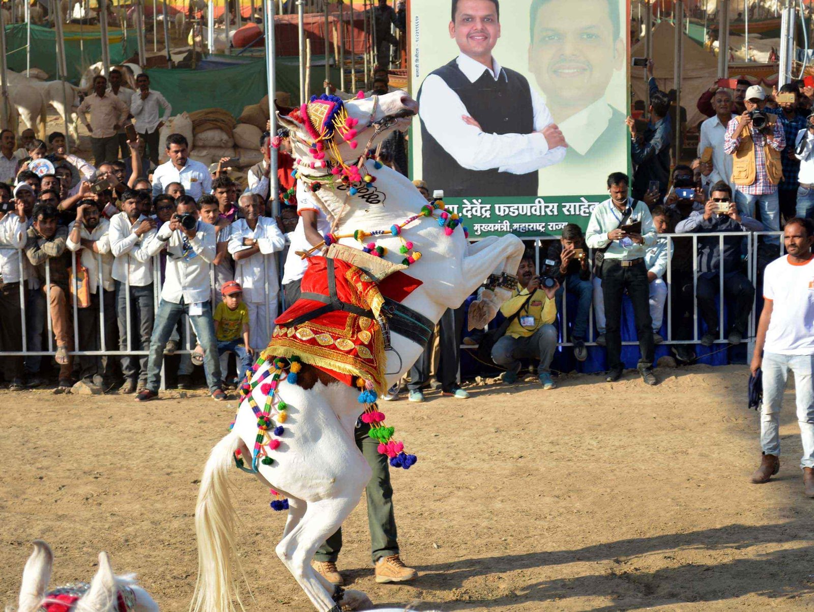 Adarsh Maharashtra | चेतक महोत्सव जगातील मोठे आकर्षण ठरेल : मुख्यमंत्री देवेंद्र फडणवीस