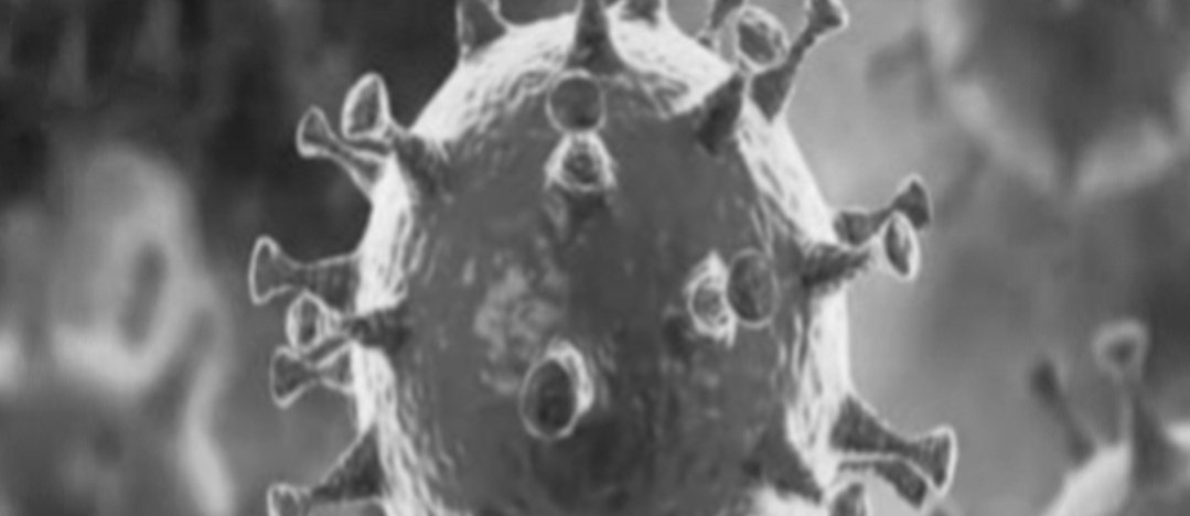 Adarsh Maharashtra | राज्यात आज ११ हजार १४७ नव्या कोरोना रुग्णांची नोंद, तर २६६ रुग्णांचा मृत्यू