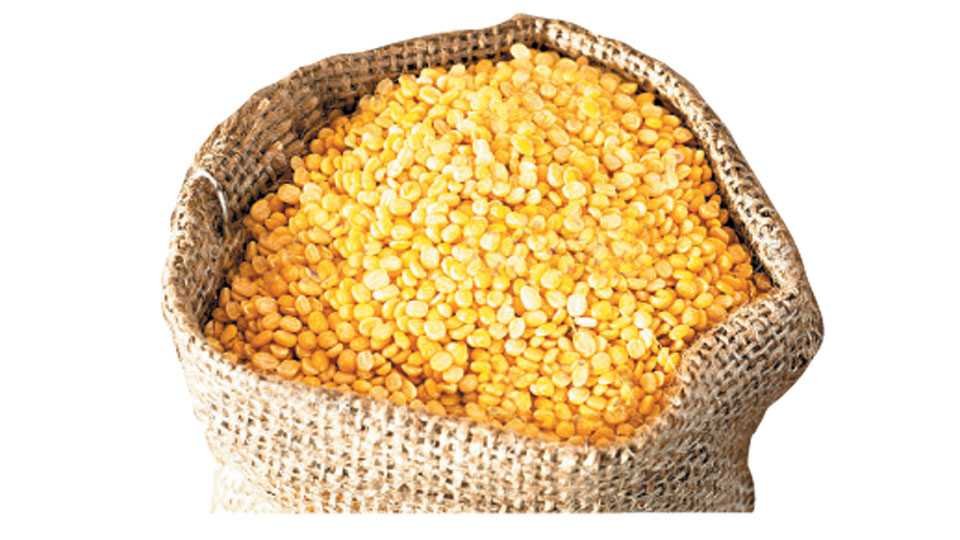 Adarsh Maharashtra | मुंबई -ठाणे शिधावाटप क्षेत्रात  मोफत  डाळीचे वाटप सुरू