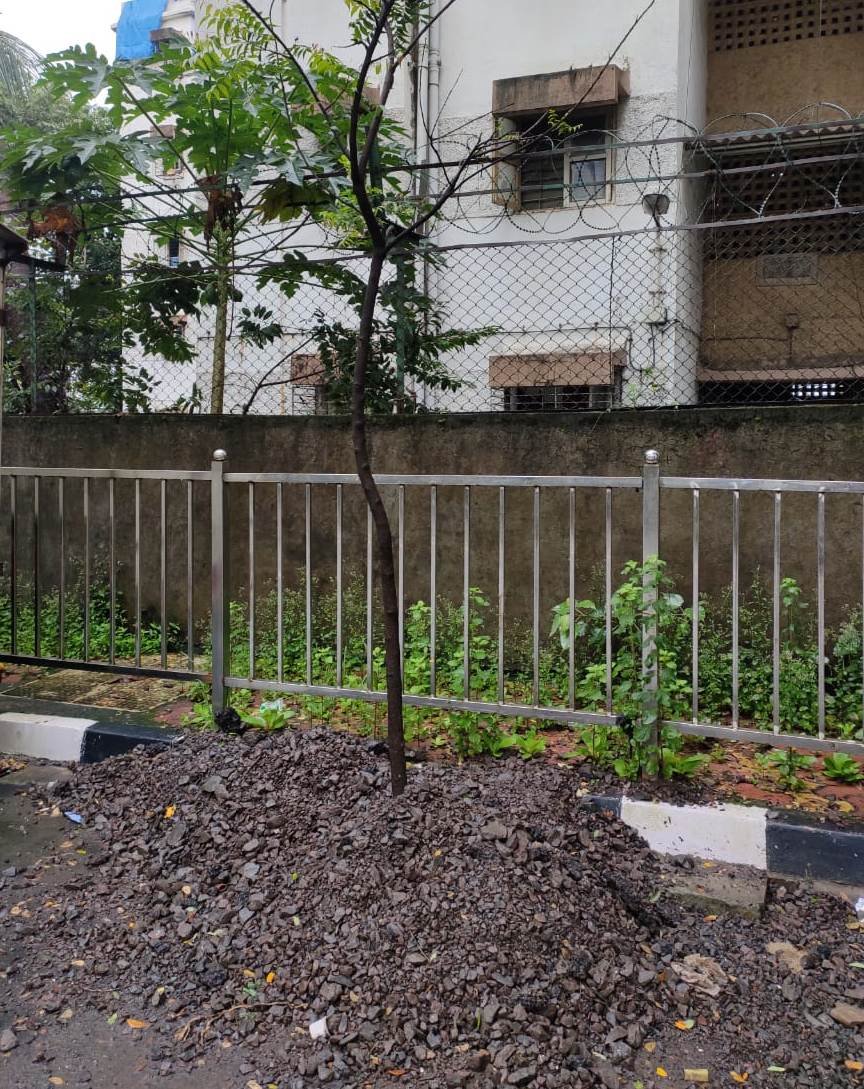 Adarsh Maharashtra | बुंध्यात मातीऐवजी सिमेंट...