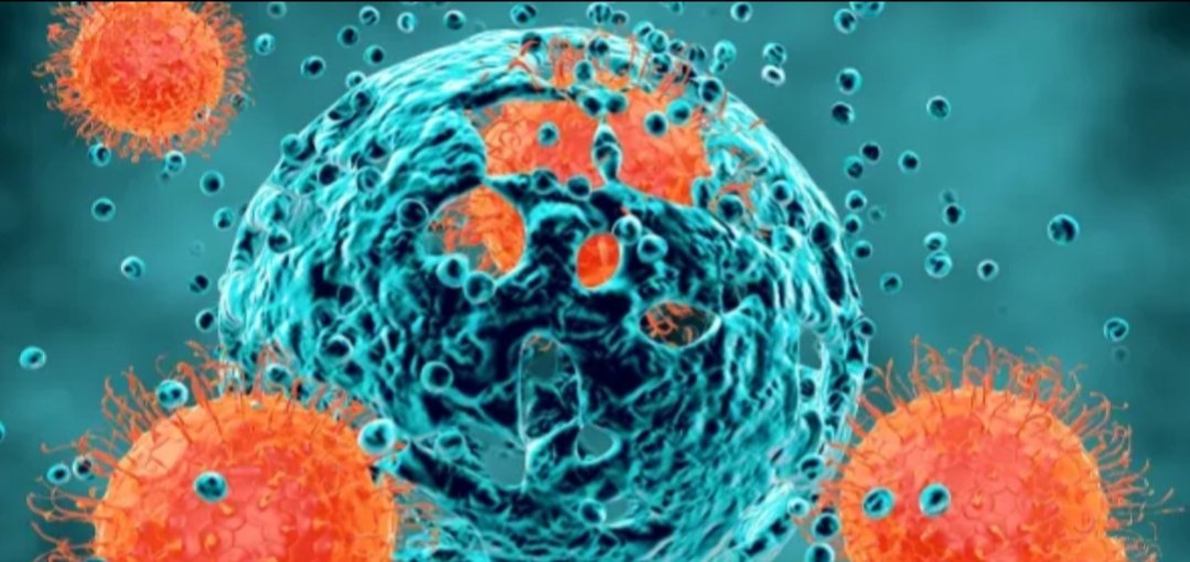 Adarsh Maharashtra | बदलापुरात कोरोनाचे १७ नवे रुग्ण