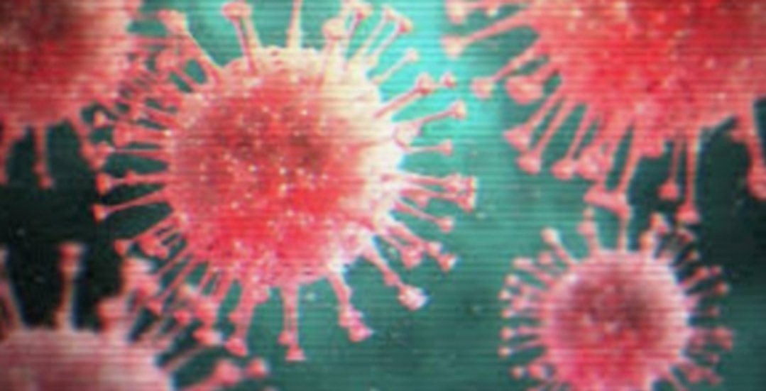 Adarsh Maharashtra | उल्हासनगरातील ब्राह्मणपाडा नवा हाँटस्पाँट आठ पाँझिटिव्ह रुग्ण ,एकुण...