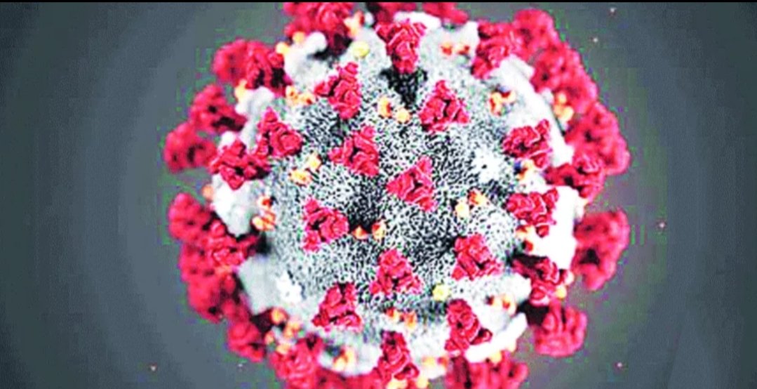 Adarsh Maharashtra | पुण्यात कोरोनाग्रस्तांची वाढ; रुग्ण संख्या २ हजार पार