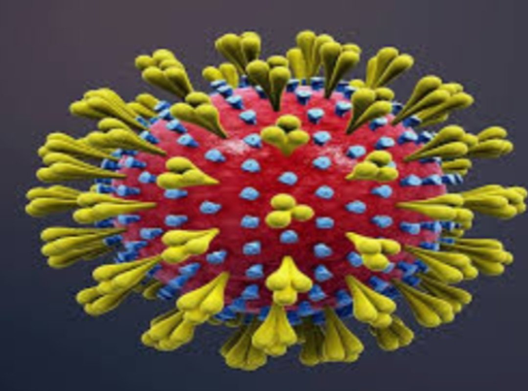 Adarsh Maharashtra | अंबरनाथमध्ये कोरोनाचे दोन नवे रुग्ण .