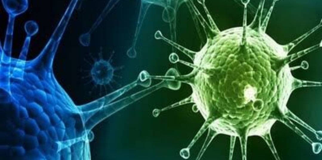 Adarsh Maharashtra | गेल्या २४ तासांत ९ हजार ८९५ नव्या रूग्णांची नोंद,२९८ रुग्णांचा मृत्यू