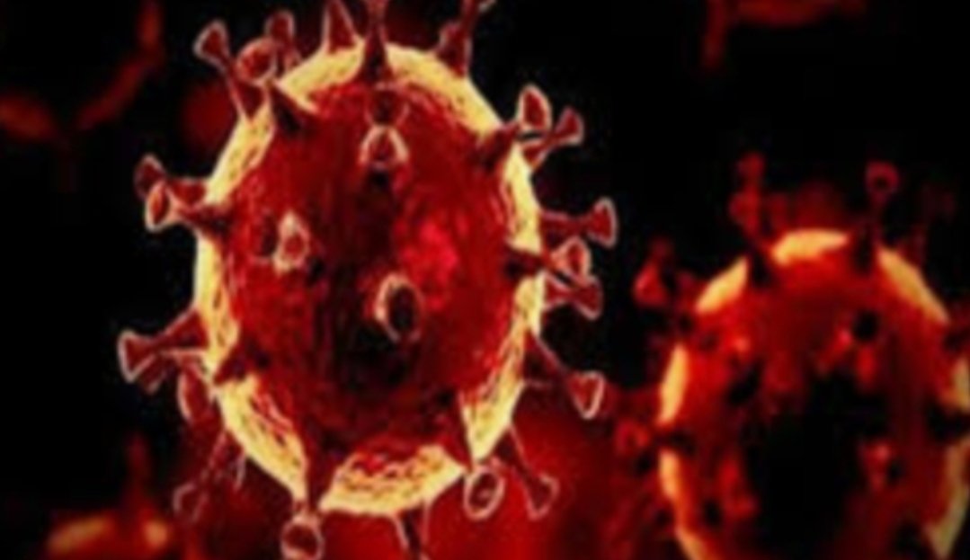 Adarsh Maharashtra | पुण्यात आणखी 1,705 बाधित...