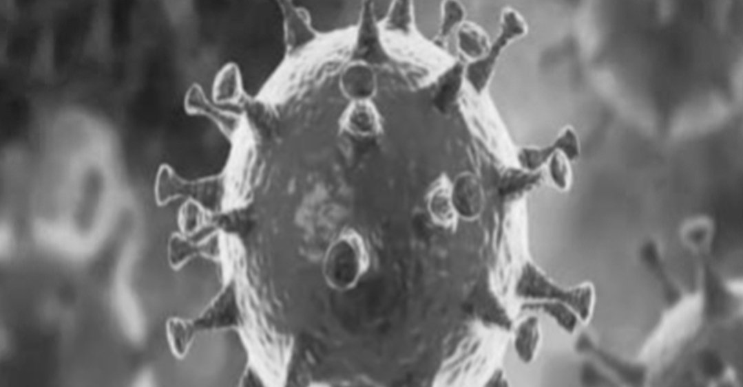 Adarsh Maharashtra | राज्यात आजही विक्रमी 8308 कोरोना रुग्णांची भर,एकूण संख्या गेली 3 लाखांच्या जवळ