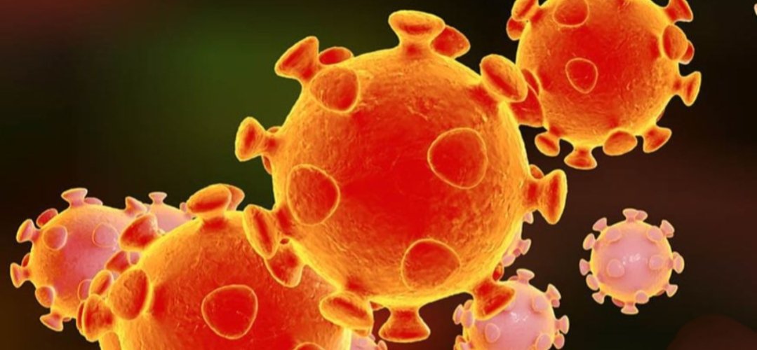 Adarsh Maharashtra | कोरोनामुक्त रुग्णांची संख्या दीड लाखाच्या उंबरठ्यावर राज्यात एक लाखावर...