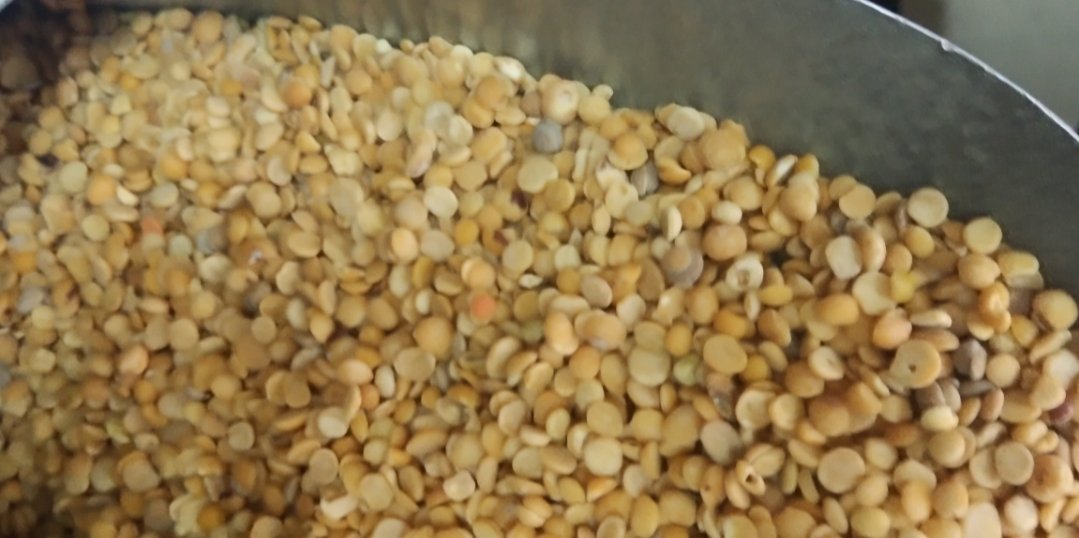 Adarsh Maharashtra | किशोर जनरल स्टोअर्स या शिधावाटप दुकानातून निकृष्ट दर्जाच्या तूरडाळीचे...