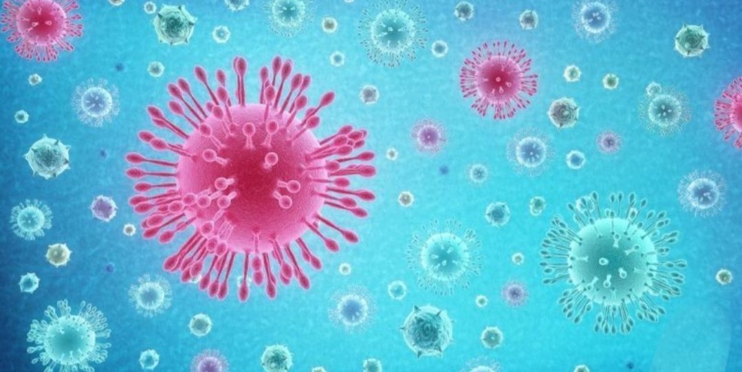 Adarsh Maharashtra | हमी पत्रानुसार अंत्यसंस्कार केले नाहीत म्हणून मृत कोरोना ग्रस्तांच्या...