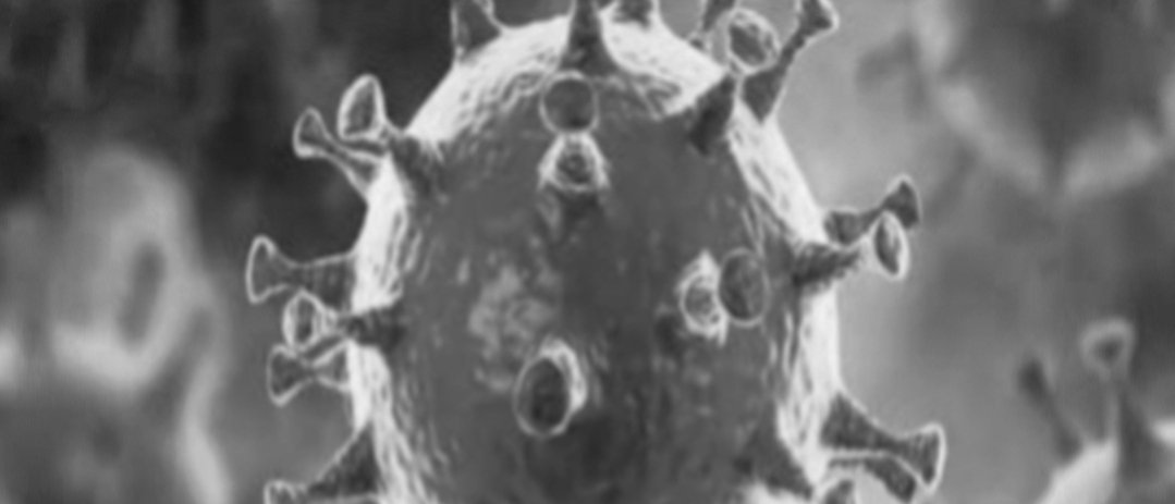 Adarsh Maharashtra | कल्याण-डोंबिवलीत 329 नवे रुग्ण, तर 10 जणांचा मृत्यू,19,967 एकूण रुग्ण, तर 357 जणांचा...