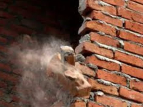 Adarsh Maharashtra | अनधिकृत बांधकामांची वाँर्डनुसार सविस्तर माहिती द्या-मा.न्यायालय