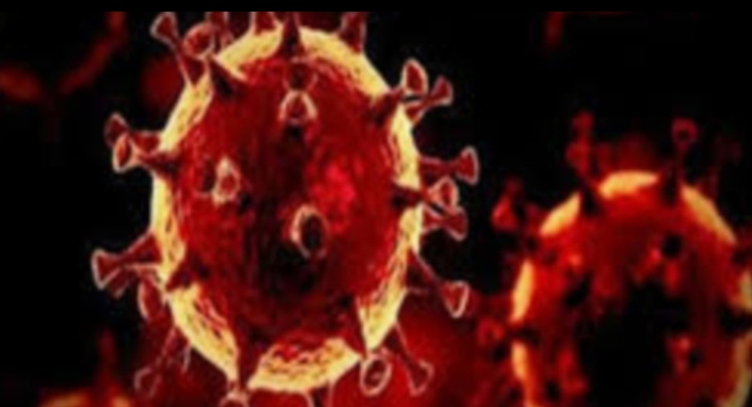 Adarsh Maharashtra | कल्याण-डोंबिवलीत कोरोना रुग्णांनी ओलांडला 19 हजारांचा टप्पा,207 नवे रुग्ण, तर...