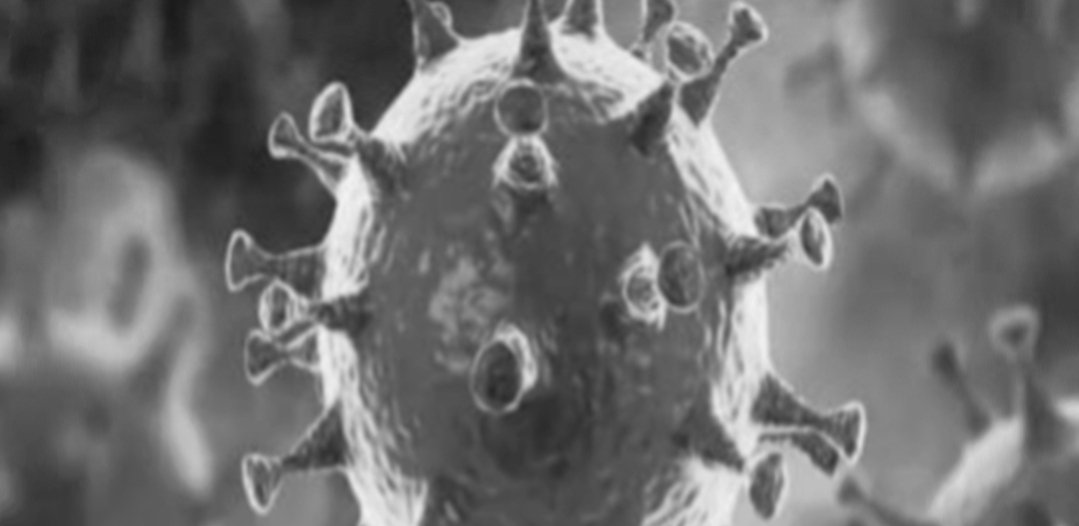 Adarsh Maharashtra | गुजरातमध्ये कोरोनातून बरे...