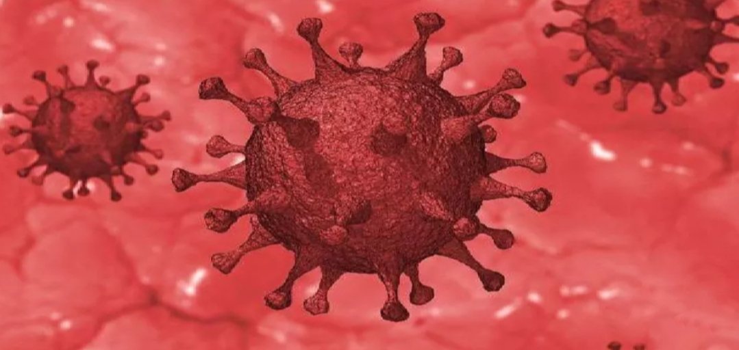 Adarsh Maharashtra | देशात कोरोना बाधितांची संख्या चार लाखांच्या पार; गेल्या 24 तासांत...