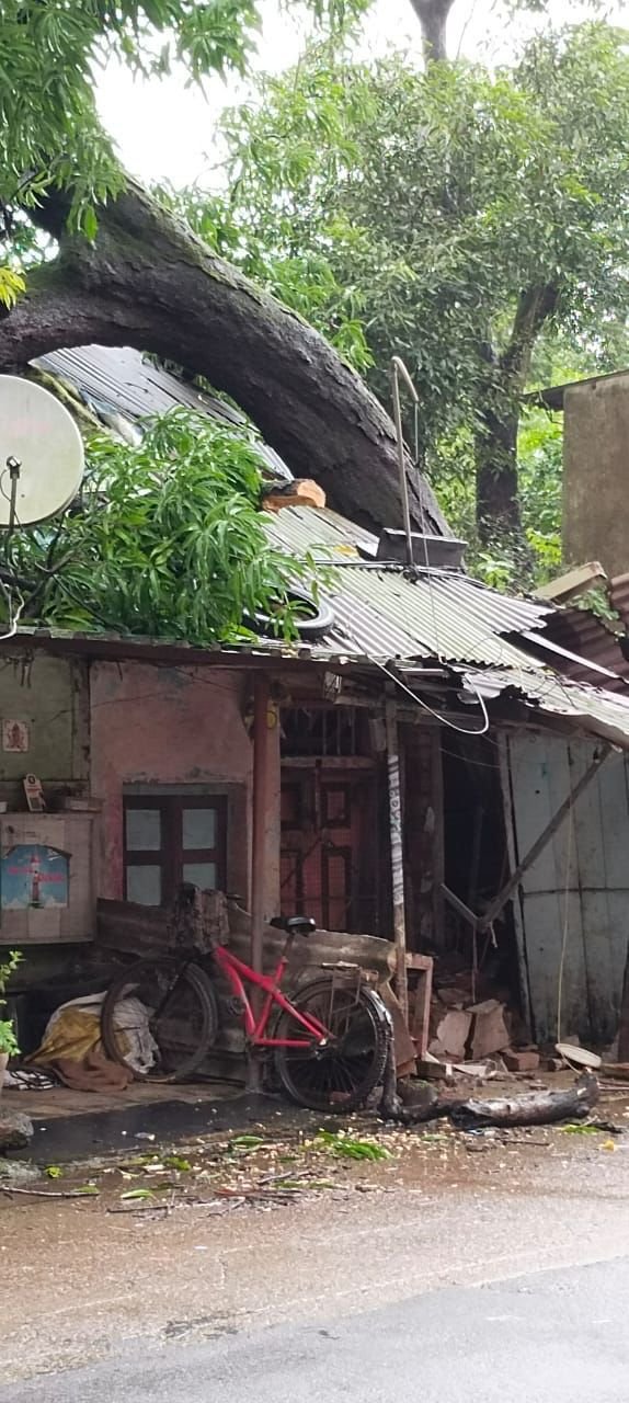 Adarsh Maharashtra | कर्जत मध्ये रात्रीच्या सुमारास घरावर पडले झाड! घराचे मोठे नुकसान, सुदैवाने...