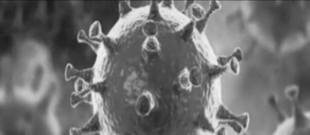 Adarsh Maharashtra | राज्यात २४ तासात ९,२१९ कोरोना रुग्णांची वाढ, २९८ जणांचा मृत्यू