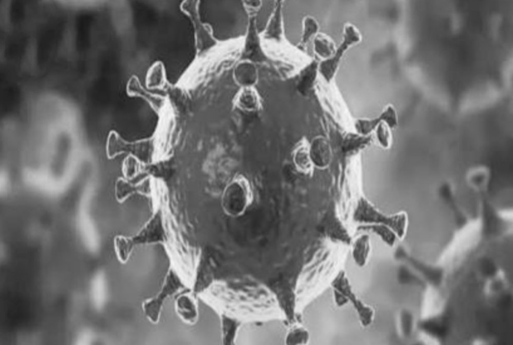 Adarsh Maharashtra | जगात कोरोनाचं थैमान ;एक कोटींपेक्षा अधिक रुग्ण,पाच लाखांपेक्षा जास्त...