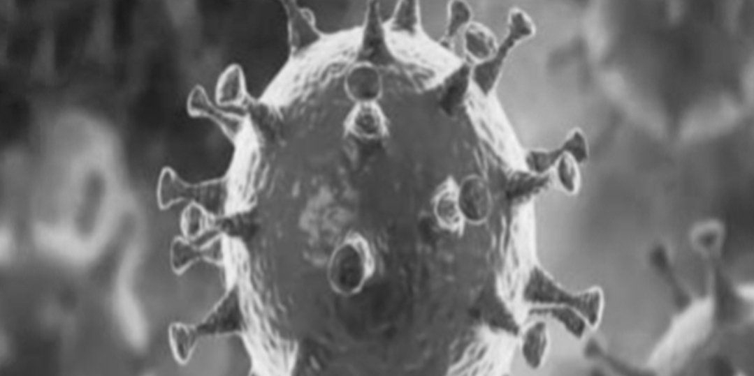 Adarsh Maharashtra | बृहन्मुंबई महापालिका क्षेत्रातील रुग्ण दुप्पट होण्याचा कालावधीचे...