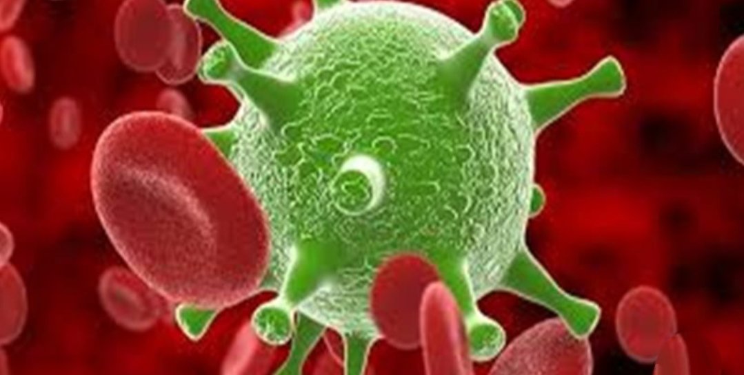 Adarsh Maharashtra | धक्कादायक :मालेगावात मनपा...