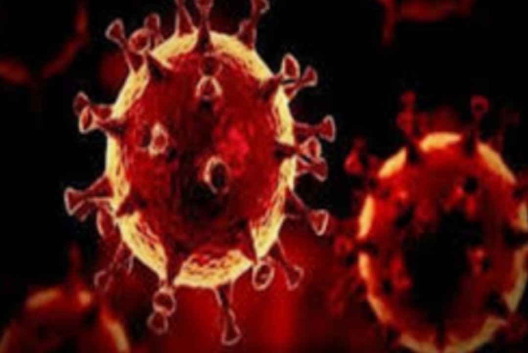 Adarsh Maharashtra | आज राज्यात कोरोनाचे तब्बल ८,१६९ रुग्ण वाढले,तर २२३ रुग्णांचा मृत्यू