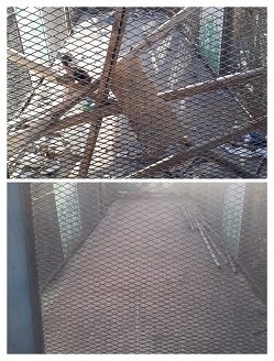 Adarsh Maharashtra | मस्जिद बंदर रेल्वे स्टेशन...