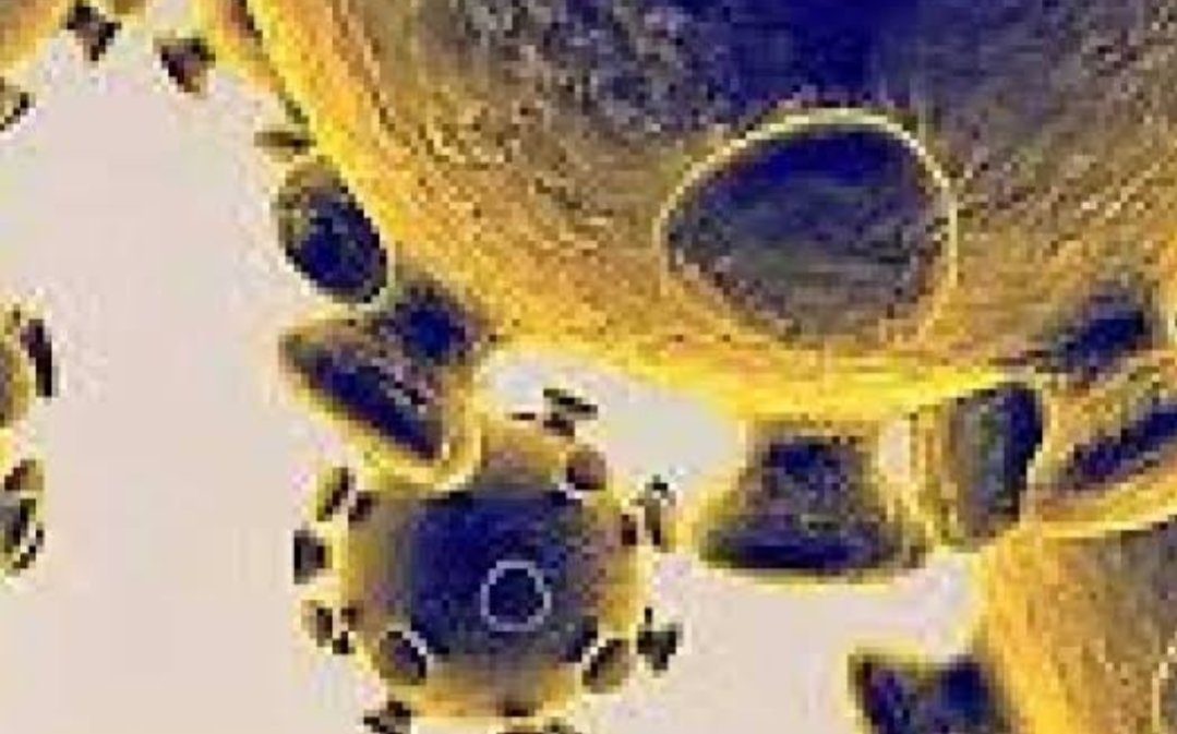 Adarsh Maharashtra | राज्यात दिवसभरात 2127 नवीन कोरोनाबाधित रुग्ण सापडले; 76 रुग्णांचा मृत्यू,...