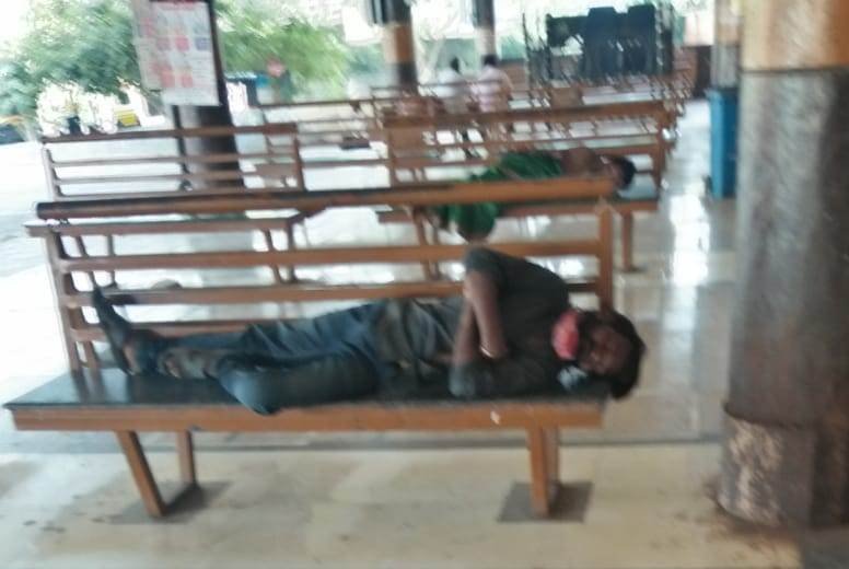 Adarsh Maharashtra | पंढरपूर एस.टी.स्थानकात मोकाट कुत्री,भिकारी यांचा मनसोक्त वावर.