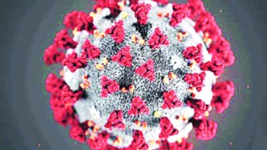 Adarsh Maharashtra | बदलापुरात कोरोनाचे १४ नवे रुग्ण .