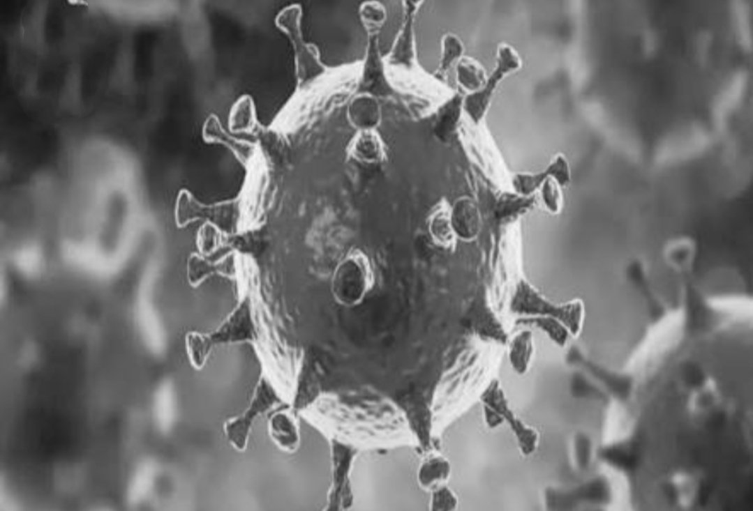 Adarsh Maharashtra | उल्हासनगरातील...