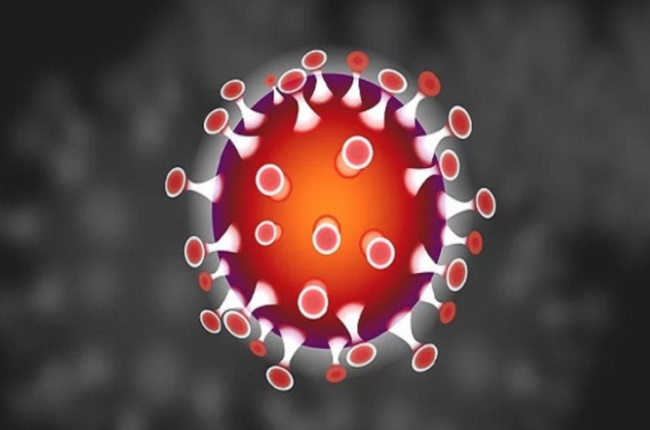 Adarsh Maharashtra | मुंबईत आणखी पाच कोरोना रुग्ण,...