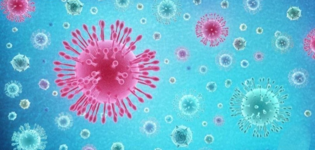 Adarsh Maharashtra | चेंबूर एम पश्चिम विभागात कोरोना बाधित रुग्णाची संख्या 771 तर मृत्यूची...