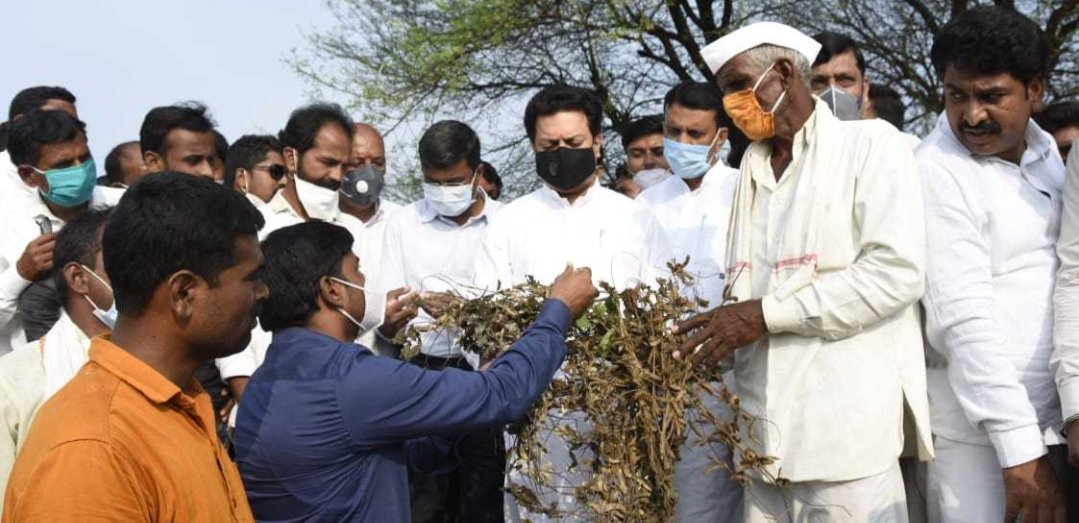 Adarsh Maharashtra | ग्रांटरोड च्या हाकिम चाळीतील...