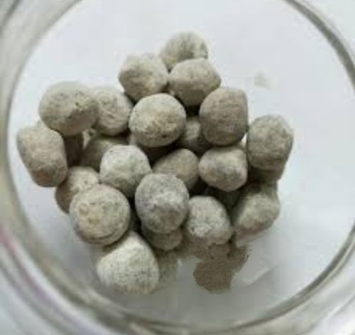 Adarsh Maharashtra | भाजपाने प्रत्येक...