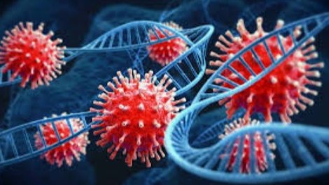 Adarsh Maharashtra | ग्रांटरोड च्या हाकिम चाळीतील...