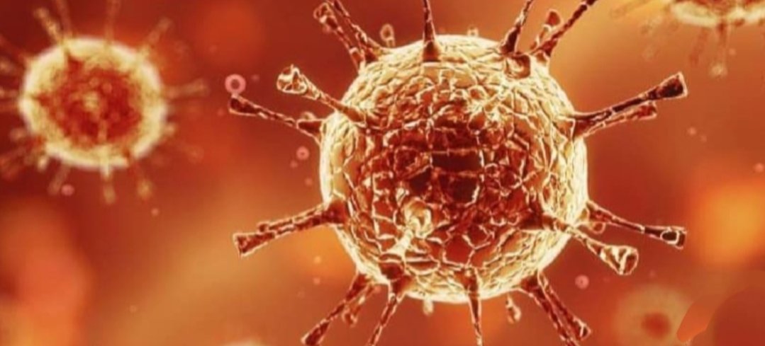 Adarsh Maharashtra | एकाच दिवशी ८३ रुग्ण आढळताच,...