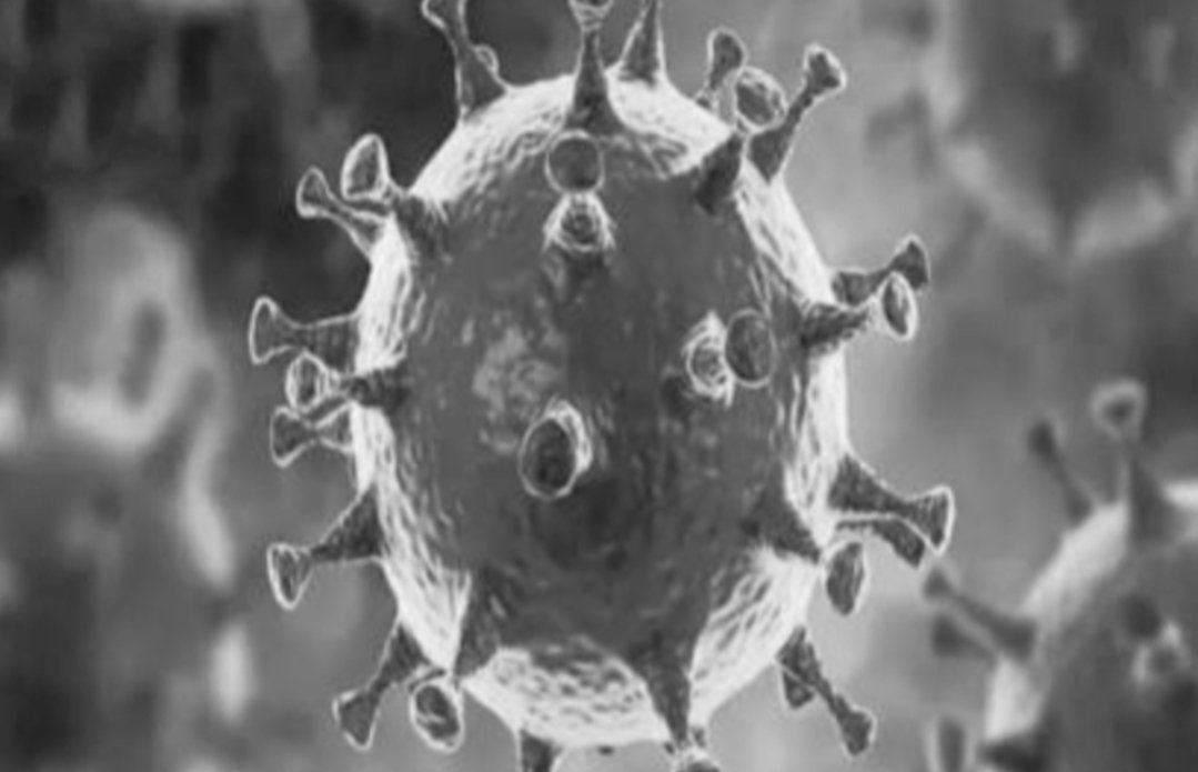 Adarsh Maharashtra | पनवेल पालिका हद्दीत कोरोना रुग्णाची दोन हजारी पार !