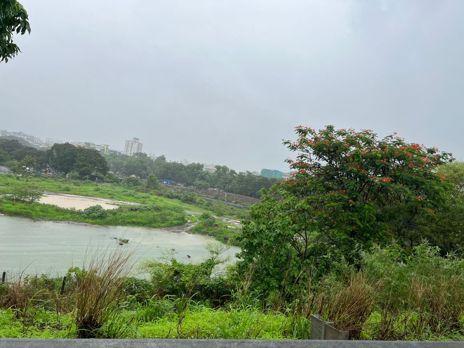 Adarsh Maharashtra | पावसाचा प्रतिक्षेत असणाऱ्या...