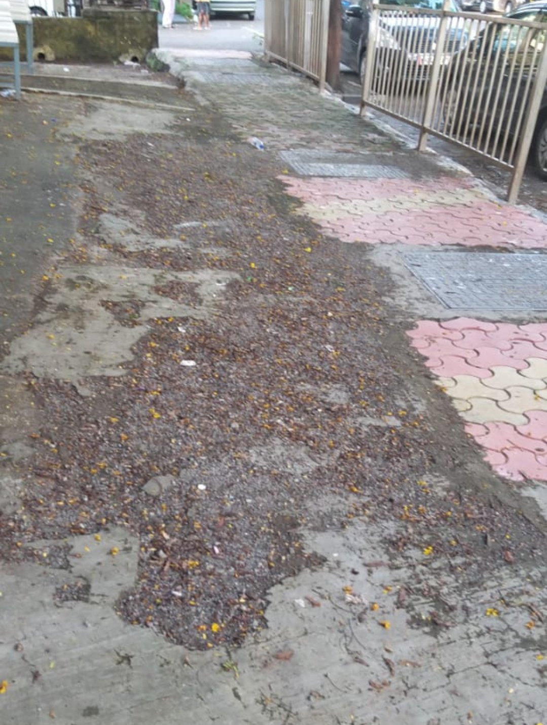 Adarsh Maharashtra | कंत्राटदाराने केलेल्या निकृष्ट कामामुळे काही दिवसातच झाली पदपथाची...