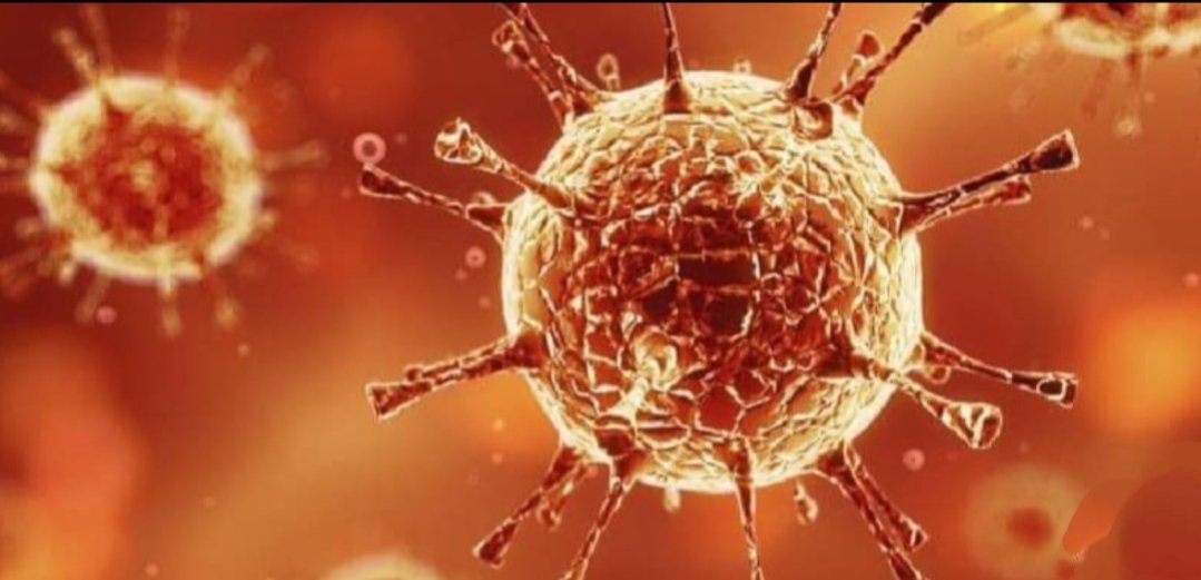 Adarsh Maharashtra | मुंबईतील धारावीत आज ४१ नव्या कोरोना रुग्णांची नोंद