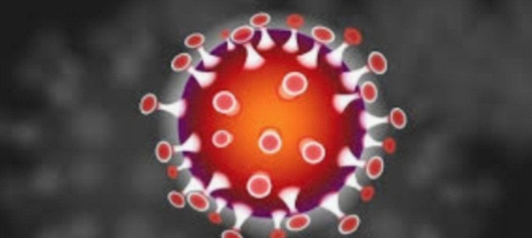 Adarsh Maharashtra | कोरोनाची नवीन प्रजाती खरंच धोकादायक आहे का?