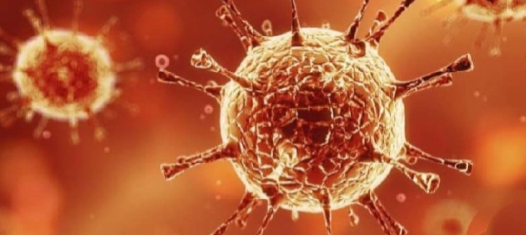 Adarsh Maharashtra | कोरोना समस्येबाबत आवश्यक...