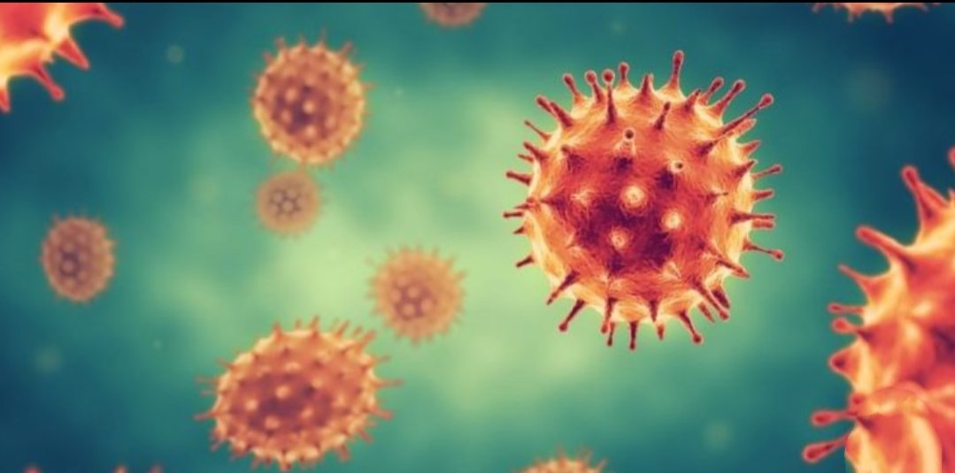 Adarsh Maharashtra | बदलापुरात कोरोनाचे १२ नवे रुग्ण आतापर्यंतची रुग्णसंख्या पोहचली २०४ वर