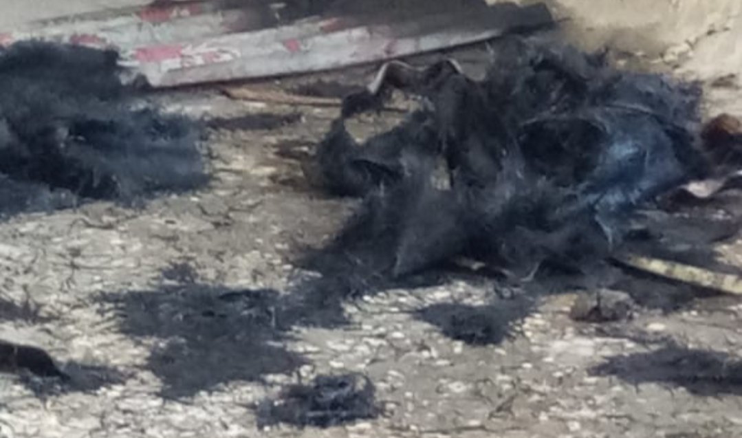 Adarsh Maharashtra | मुलुंड पूर्व येथील ईस्टर्न मॅजेस्टी इमारतीच्या रेफ्यूजी मजल्यावर किरकोळ...