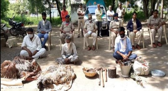 Adarsh Maharashtra | शिकार केलेल्या काळविटाचं मटण...