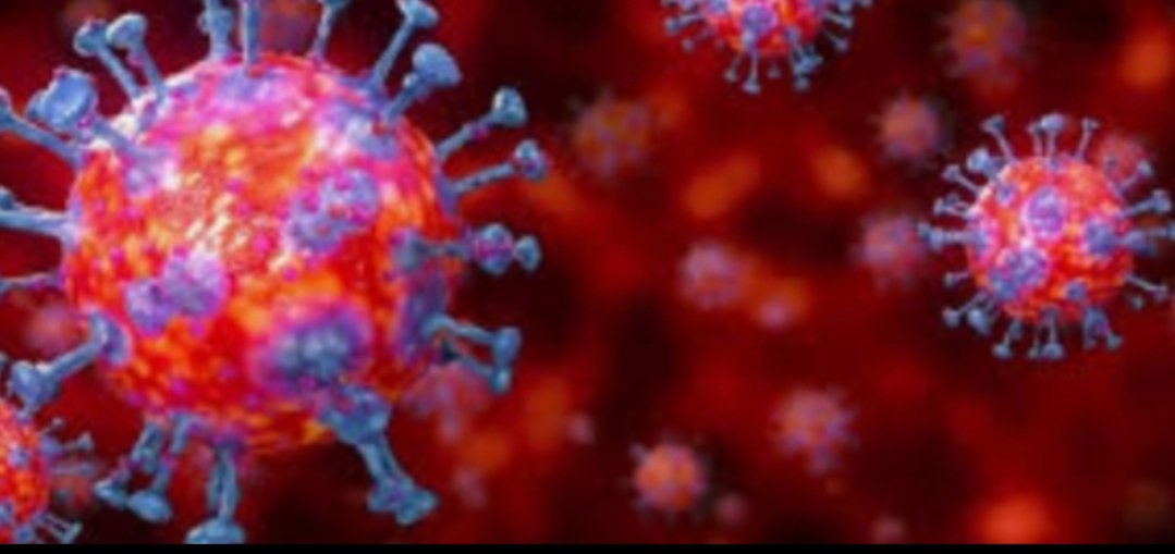 Adarsh Maharashtra | चेंबूर येथील ओटोबा फर्निशिंग...