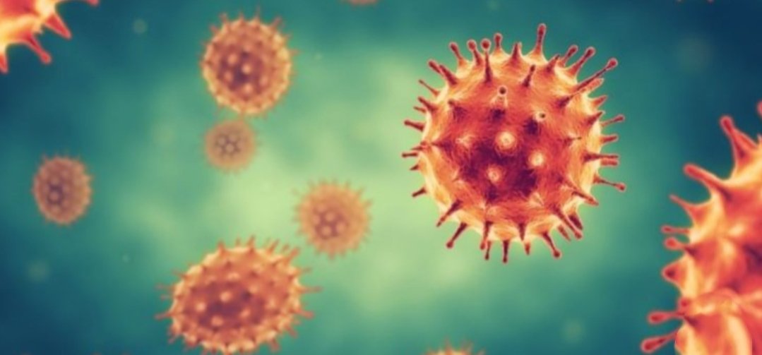 Adarsh Maharashtra | धारावी, दादर व माहीममध्ये ३८...