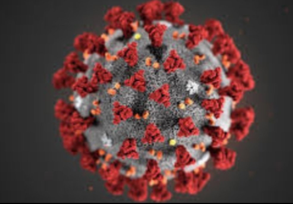 Adarsh Maharashtra | कोरोना’च्या संकटात...