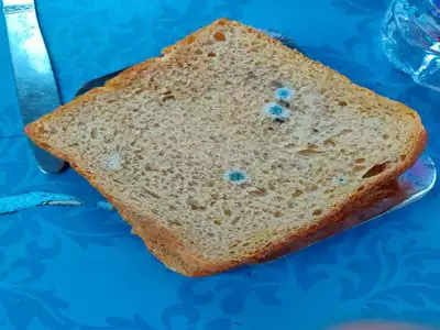 Adarsh Maharashtra | शताब्दी एक्स्प्रेसमध्ये शीळे अन्न; प्रवाशांना उलट्या